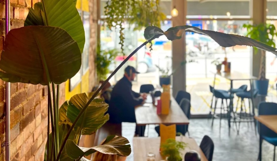 Inside Spill cafe with plants